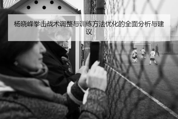 杨晓峰拳击战术调整与训练方法优化的全面分析与建议